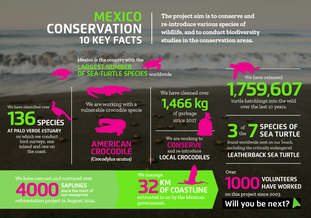 The impact you will make on the conservation volunteer project in Mexico with projects abroad Interesting facts about conservation volunteering in Mexico with projects abroad